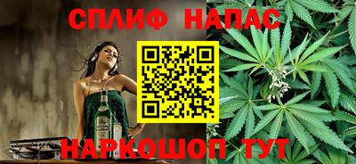 шишки Новокубанск