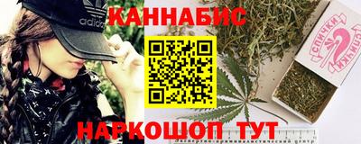 гашик Новозыбков